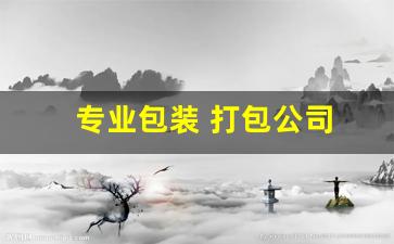 专业包装 打包公司(专业包装 打包公司有哪些)_https://www.gfdzclz.com_上交所_第1张